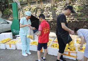 娱乐吃瓜酱贫困户,揭秘贫困户背后的真实故事